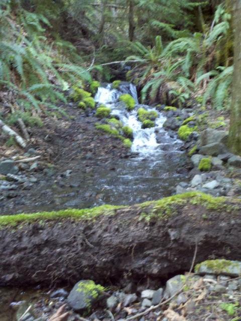 Crescent Nat'l Park trail